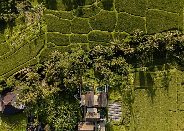 View Merta Ubud