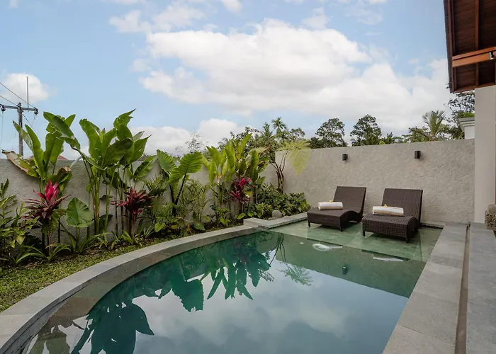 Villa View Merta *